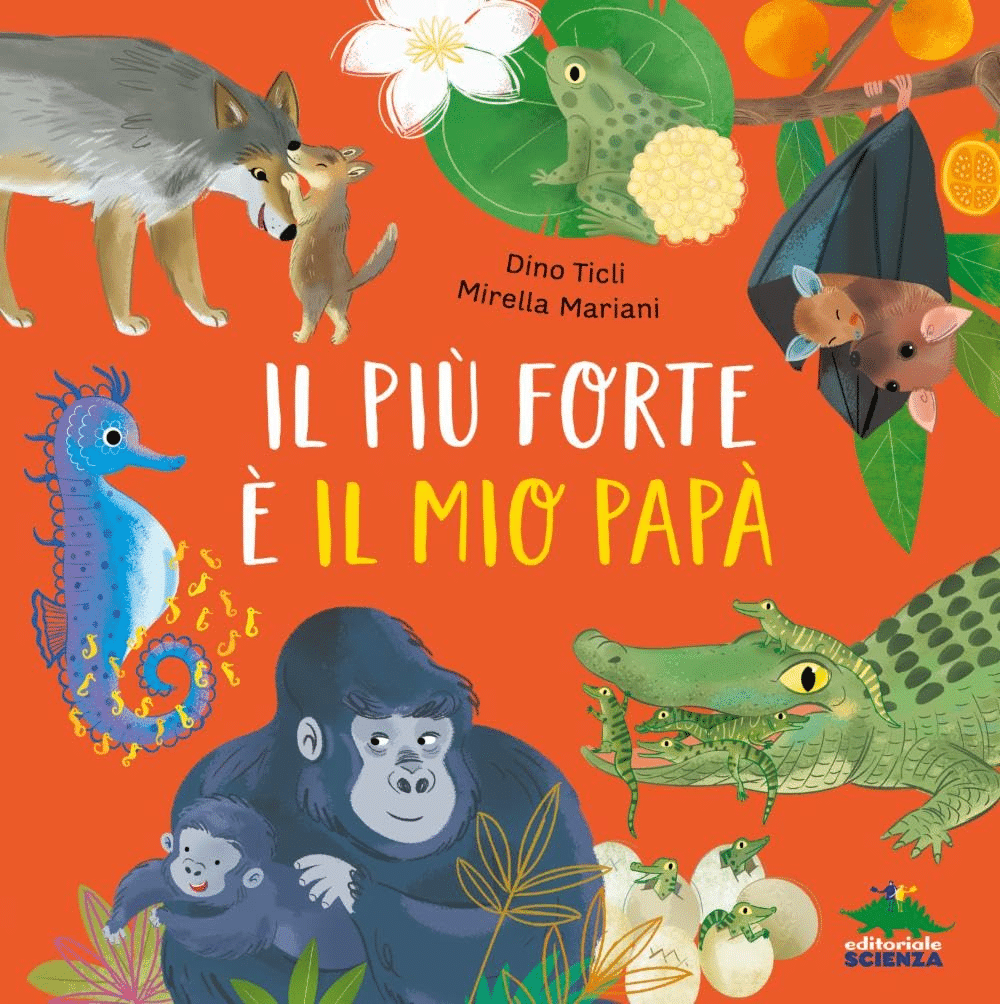 Babbo superstar
